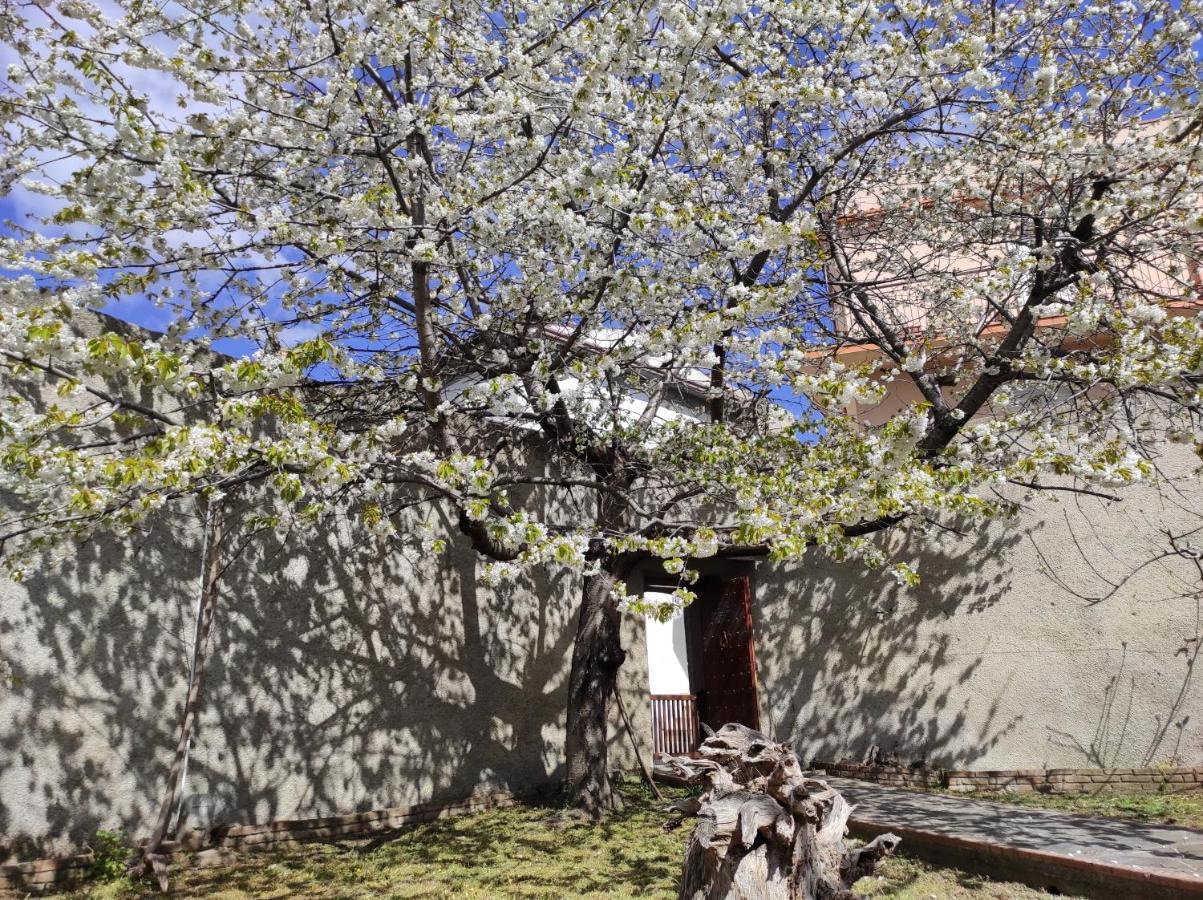 Cerchiara di Calabria Antica Dimora Palazzo Rovitti Bed & Breakfast エクステリア 写真
